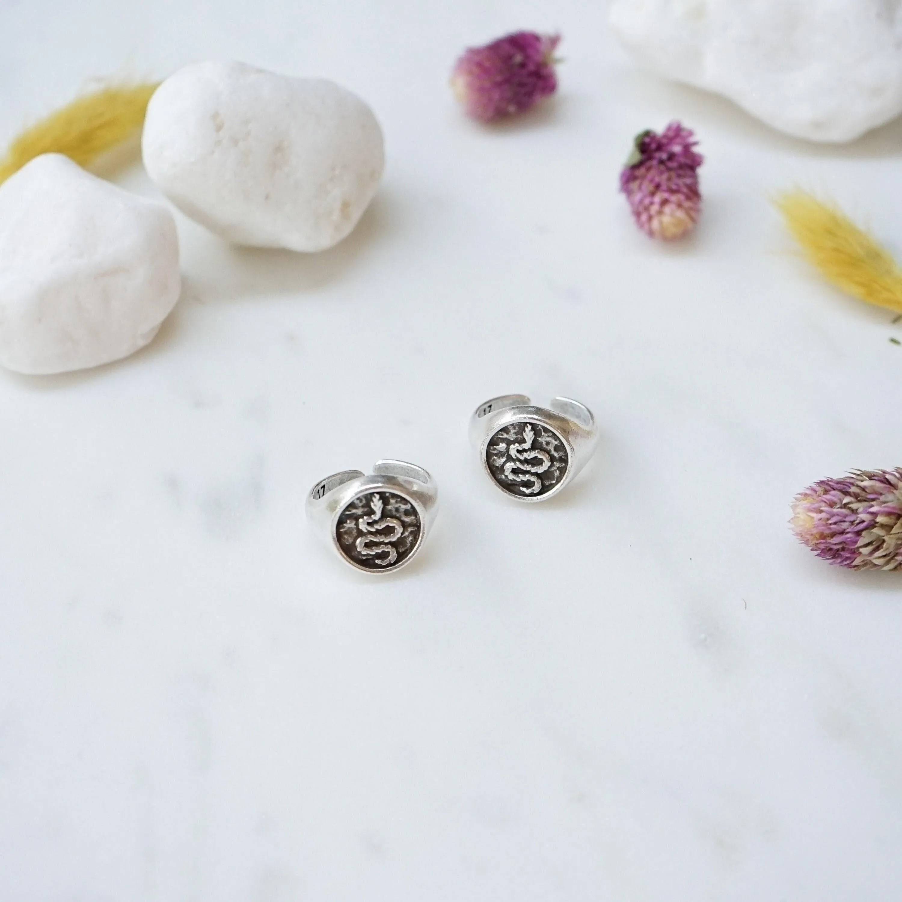 Silver Snake Stamp Signet Ring
